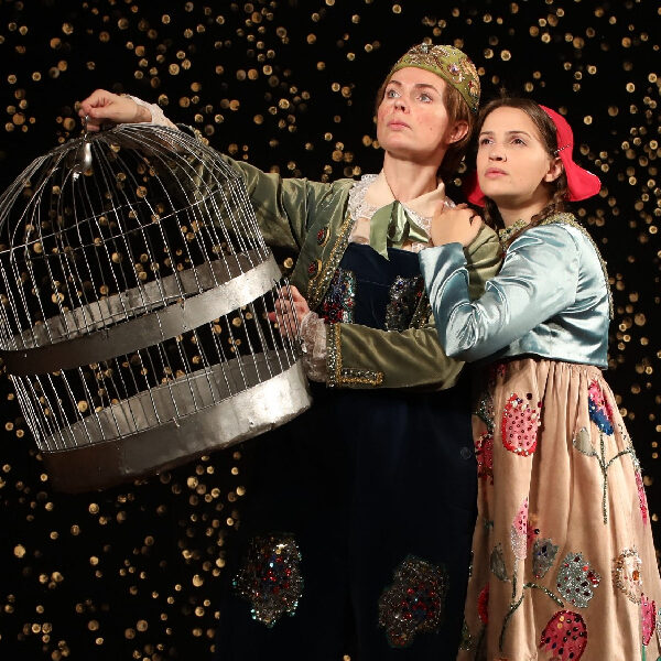 Спектакль «Синяя птица» в МХАТ Горького