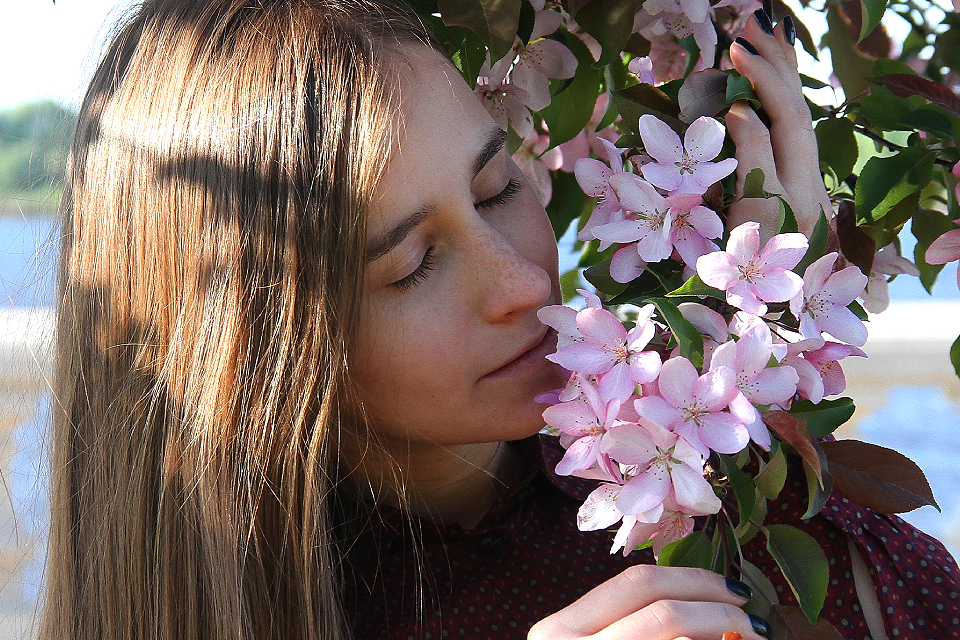 Где в Москве цветет сакура: самые красивые площадки