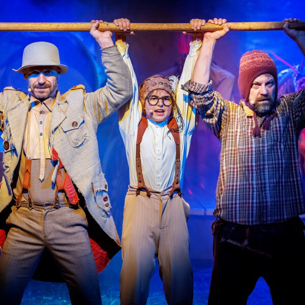 Спектакль «Вождь краснокожих»