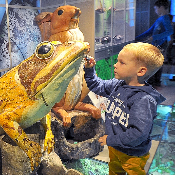 День болота в Дарвиновском музее