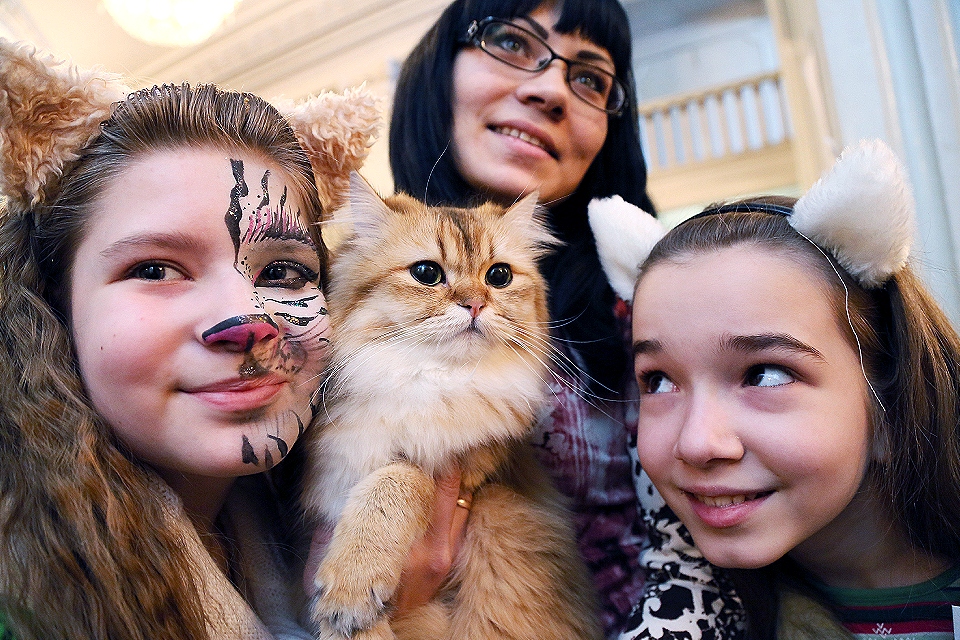 10 лучших котокафе в Москве 2025: где подружиться с хвостатыми и сколько это стоит