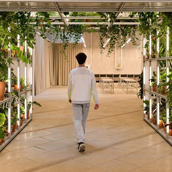 Иммерсивная выставка «Затерянный сад» в «Биокластере» на ВДНХ