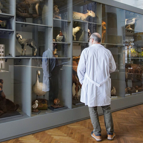 Выставка «Особо охраняемые» в Биологическом музее