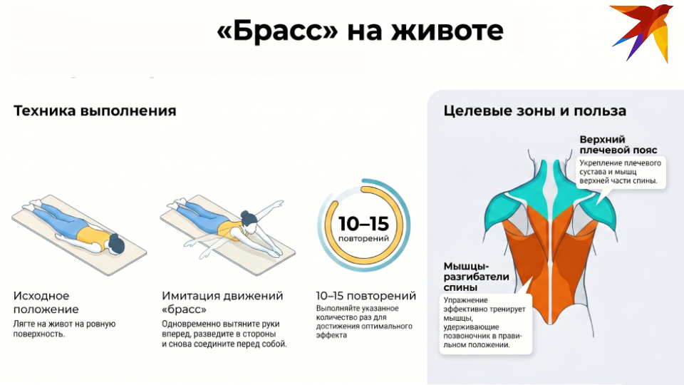 10 лучших упражнений при сколиозе у взрослых