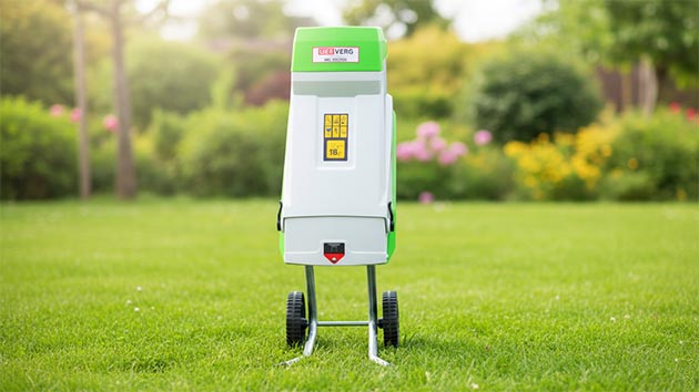 RedVerg RD-GS2500. Фото: Павел Громов / Нейросеть