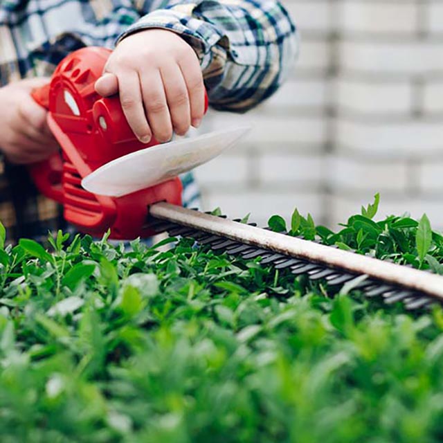 Лучшие кусторезы