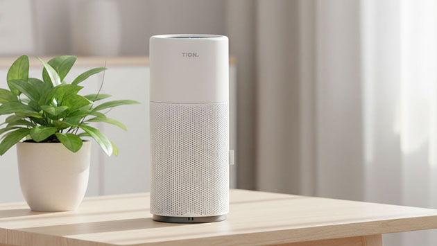 Tion Iris. Фото: Татьяна Фадеева / Нейросеть