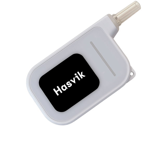 Hasvik