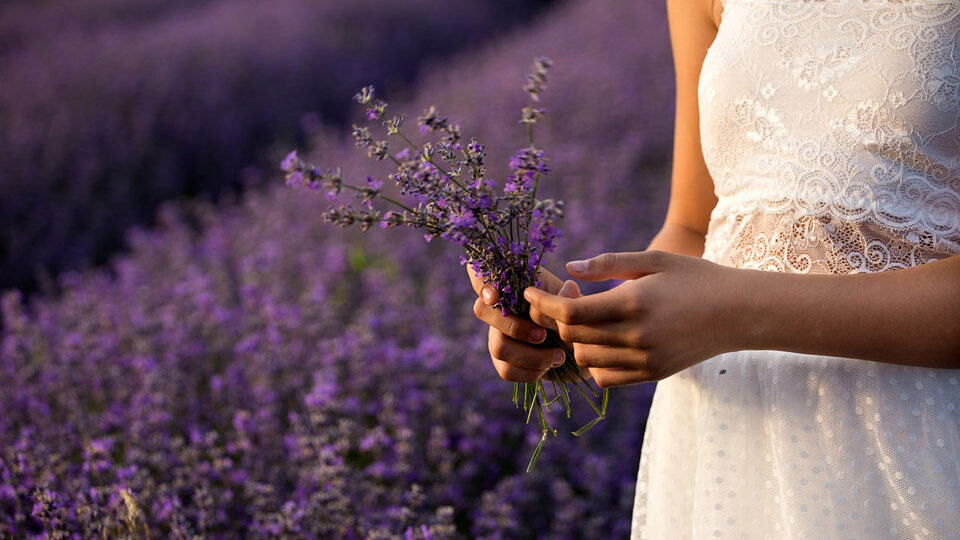 11 неделя беременности от зачатия