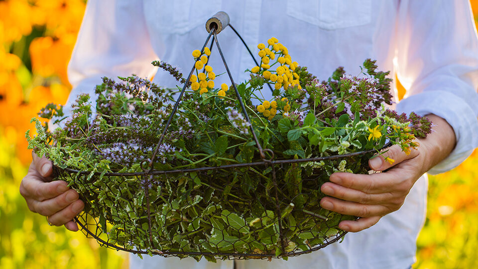 Симонов день 2026: история и традиции праздника