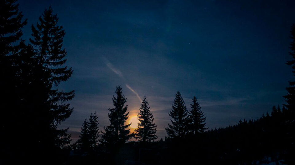 Велесова ночь в 2026 году: история и традиции праздника