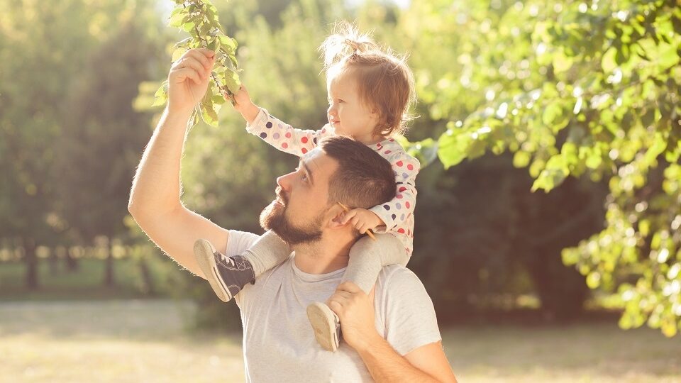 Какой праздник 7 июля 2026 года