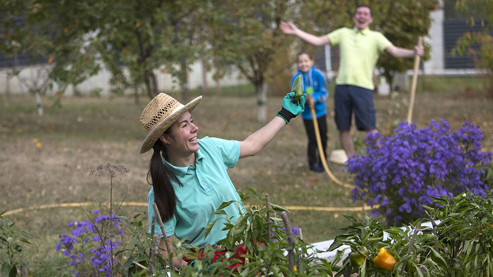 Что можно сажать осенью из цветов и овощей