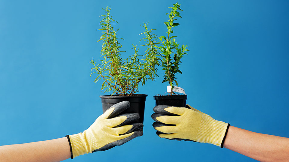 Зеленое движение «ЭКА» в России в 2025 году