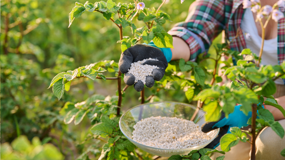 Монофосфат калия