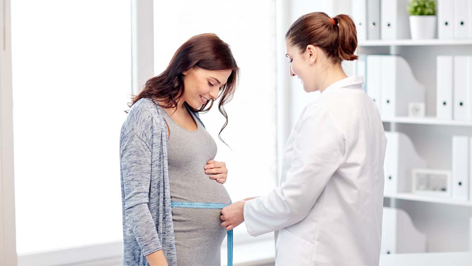 Живот при беременности на разных сроках