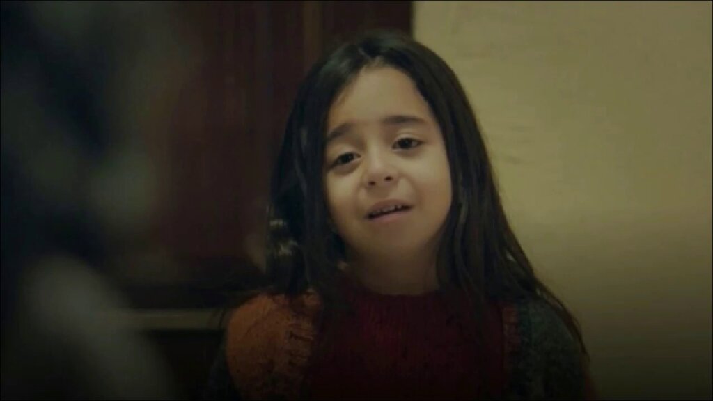 Причина, по которой Зейнеп выкрала Мелек, а не сообщила в полицию. Сериал «Моя мама»