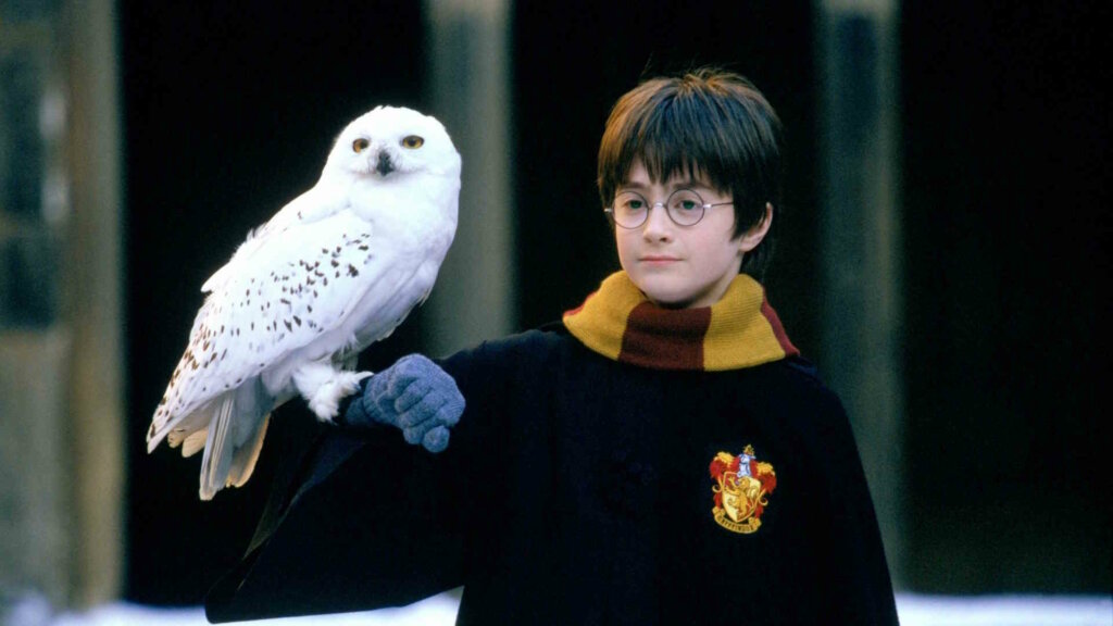 Создатели сериала про Гарри Поттера почти определились со сценаристом проекта