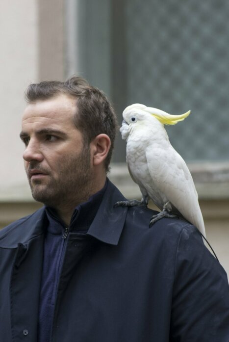 Пират 1 сезон