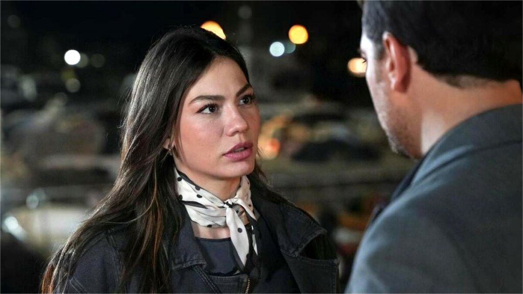 Эшреф отказался от Нисан: Описание 23 серии турецкого сериала «Мечта Эшрефа»