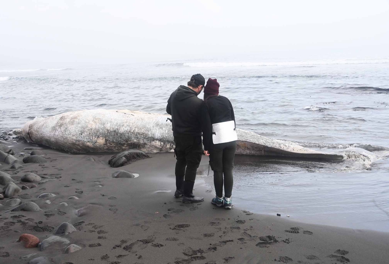 экспедиция на курилы 84