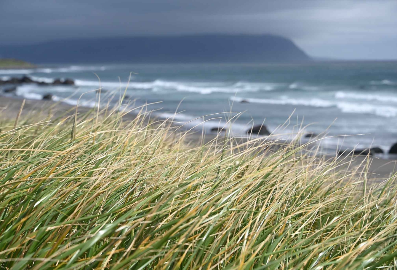 экспедиция на курилы VEL_1439