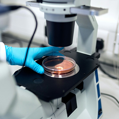 Донорские программы