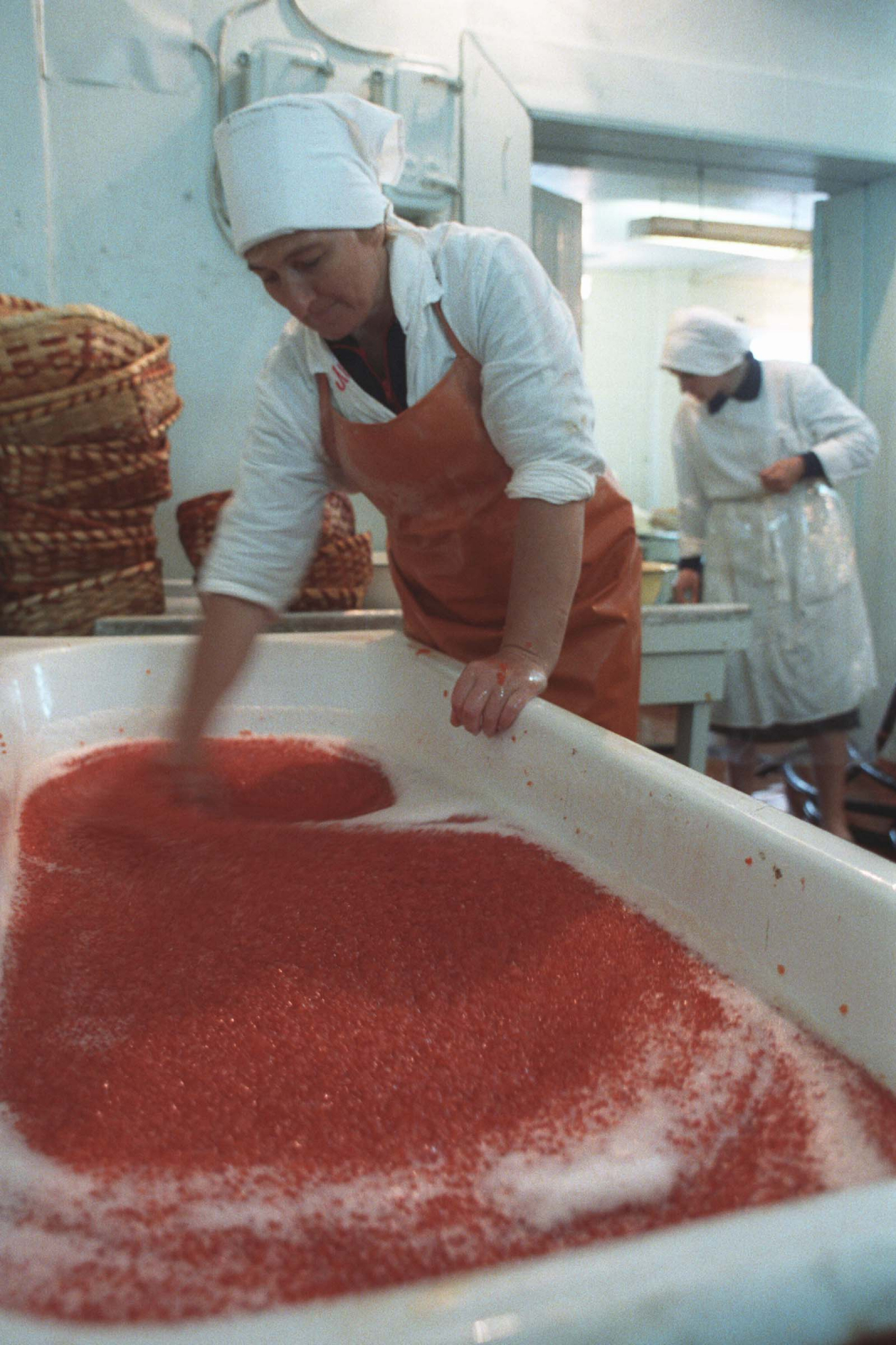 экспедиция на курилы 16