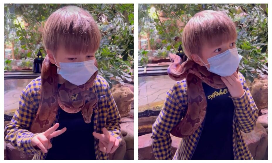 Арсений Аршавин