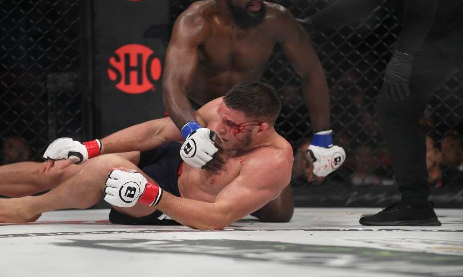 Немков, ММА