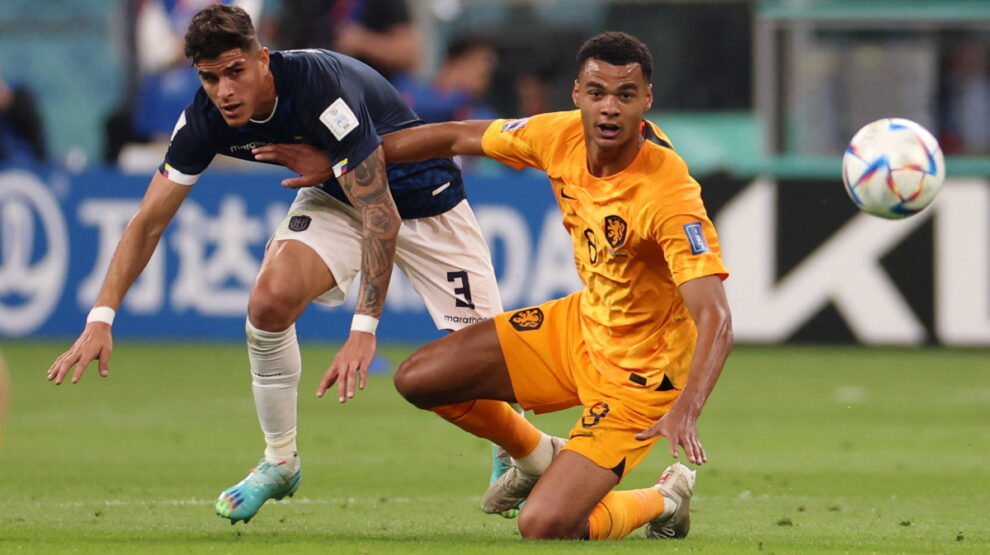 Нидерланды, Эквадор, ЧМ-2022