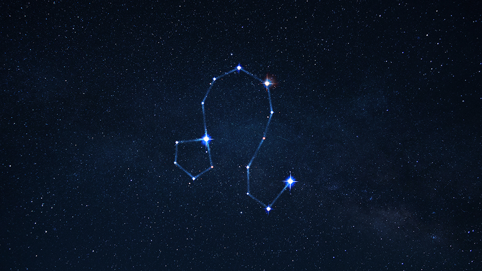 Гороскоп на 2026 год: Лев