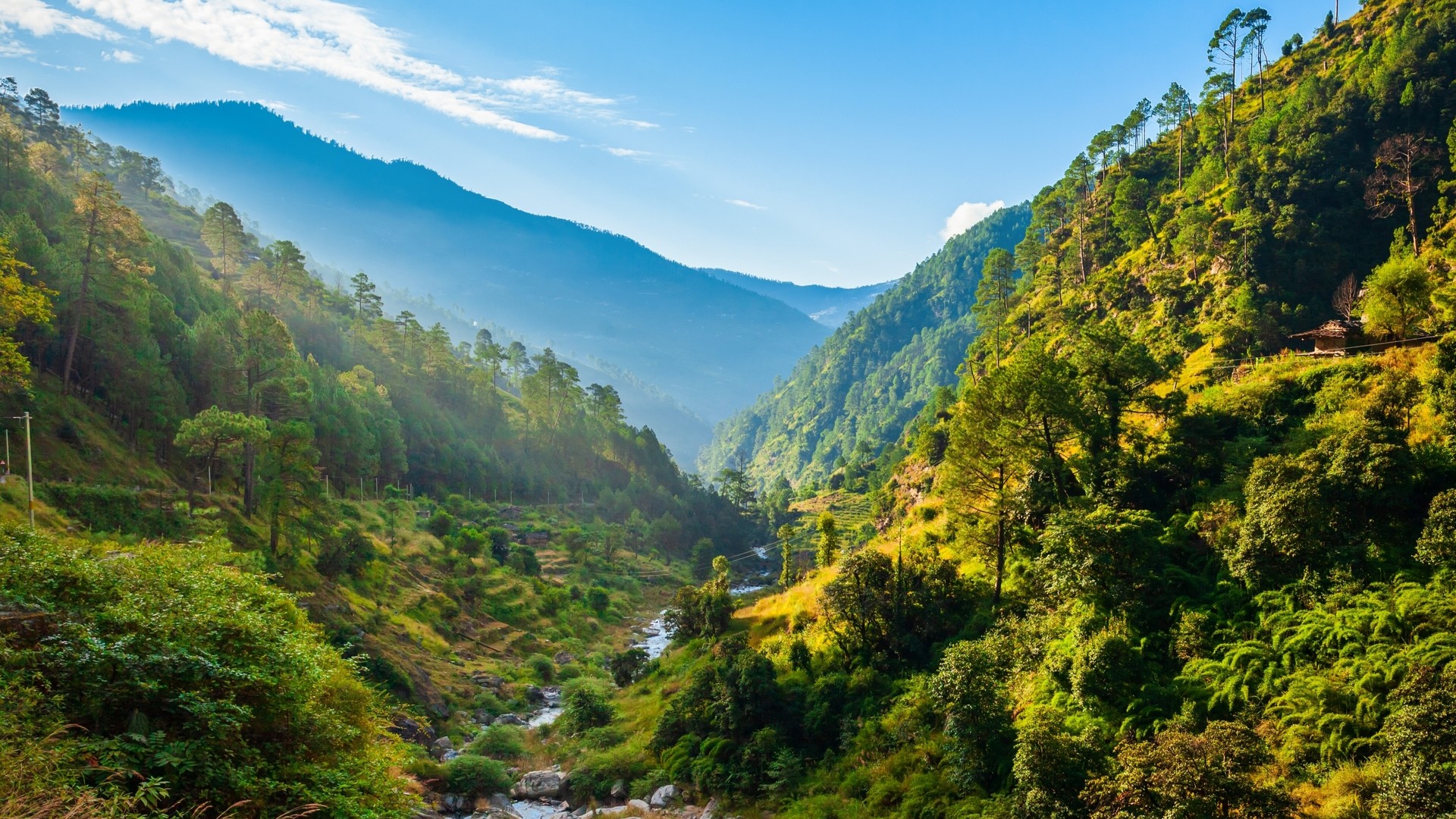 Вид на покрытые лесами Гималайские горы, штат Химачал-Прадеш.