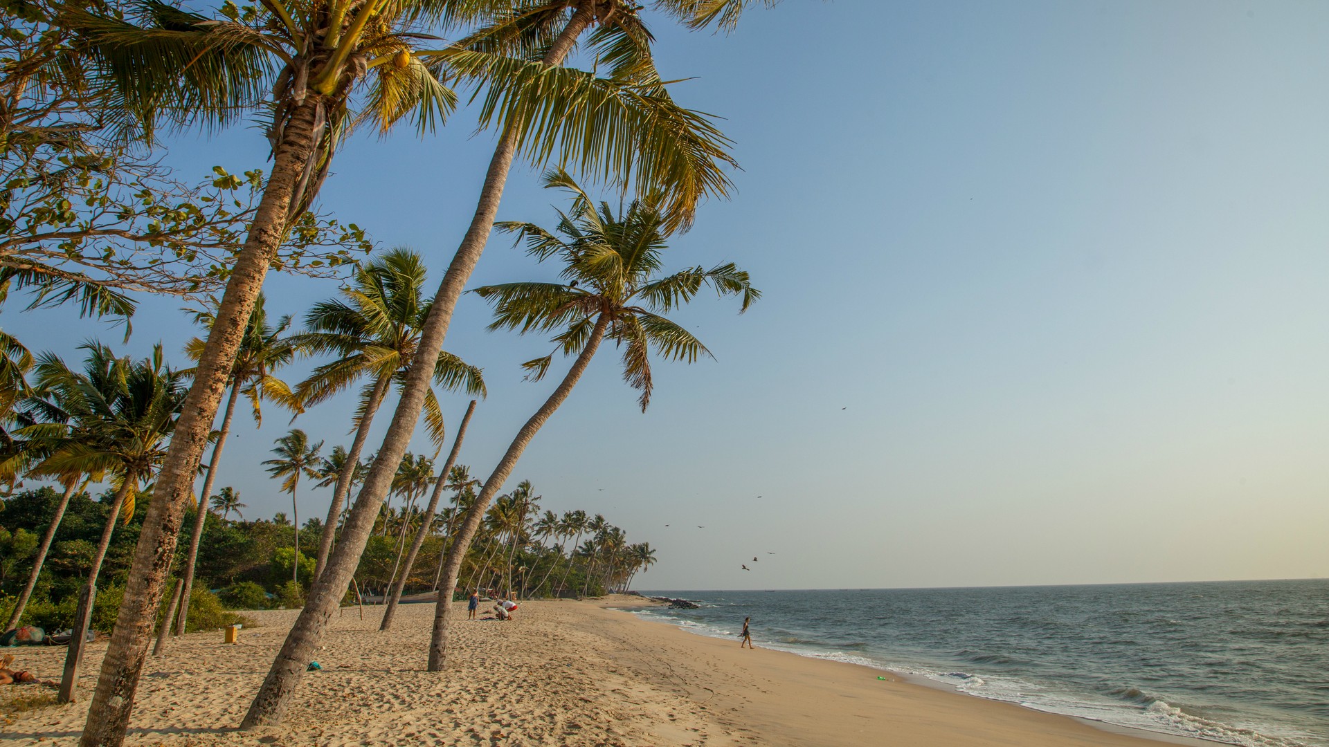 Пляж Марари, штат Керала.