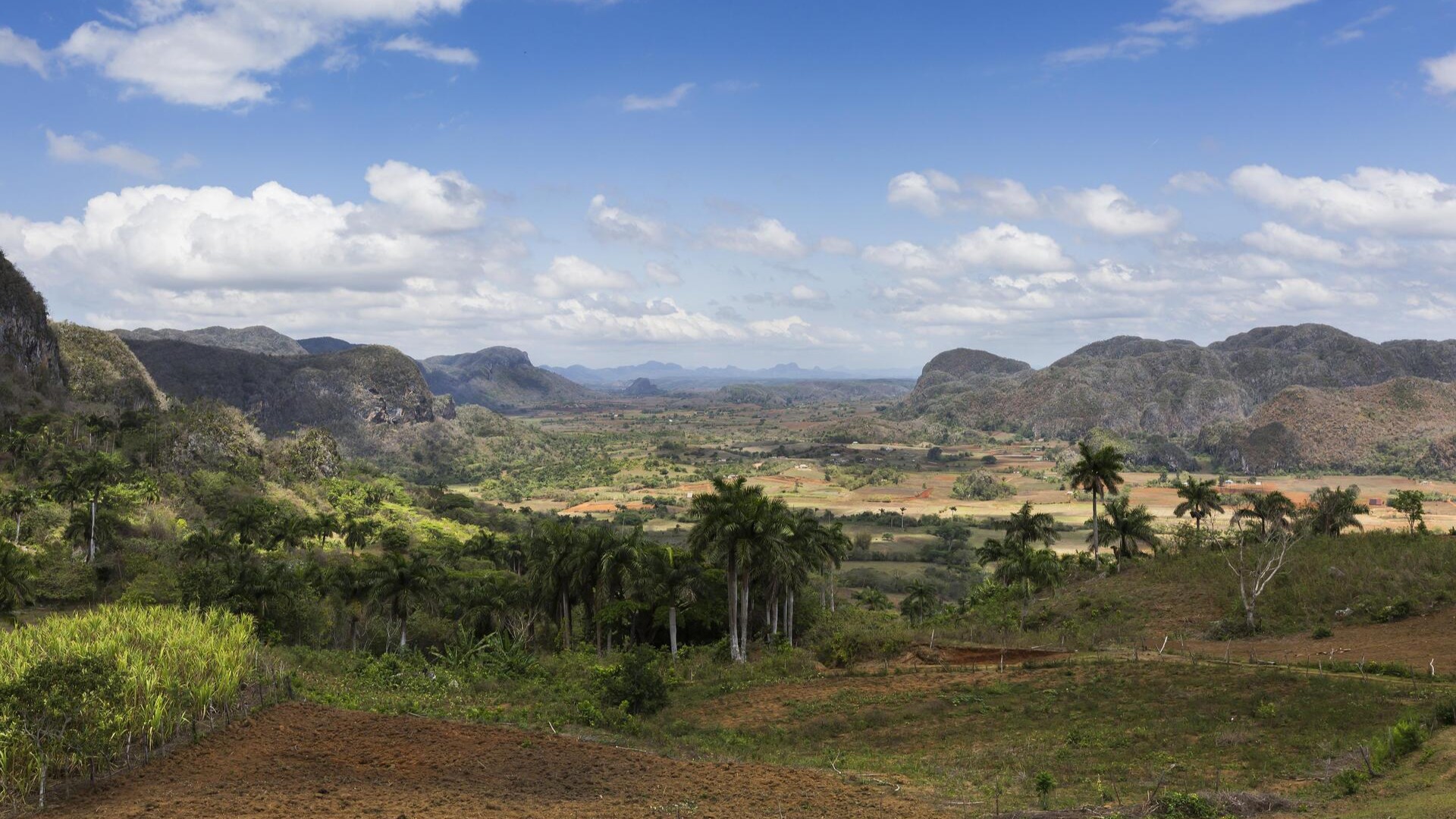 Долина Виньялес со скалистыми холмами, провинция Пинар-дель-Рио.