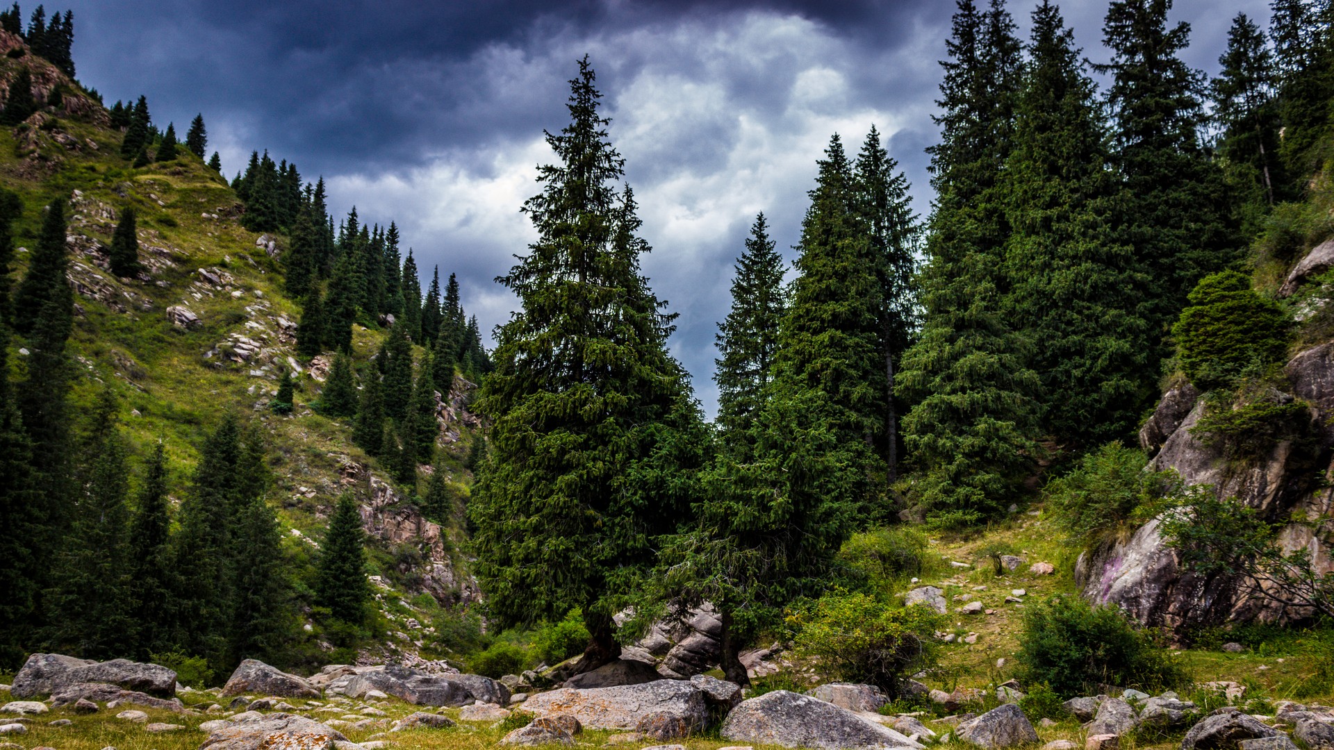 Григорьевское ущелье, Кыргызстан.