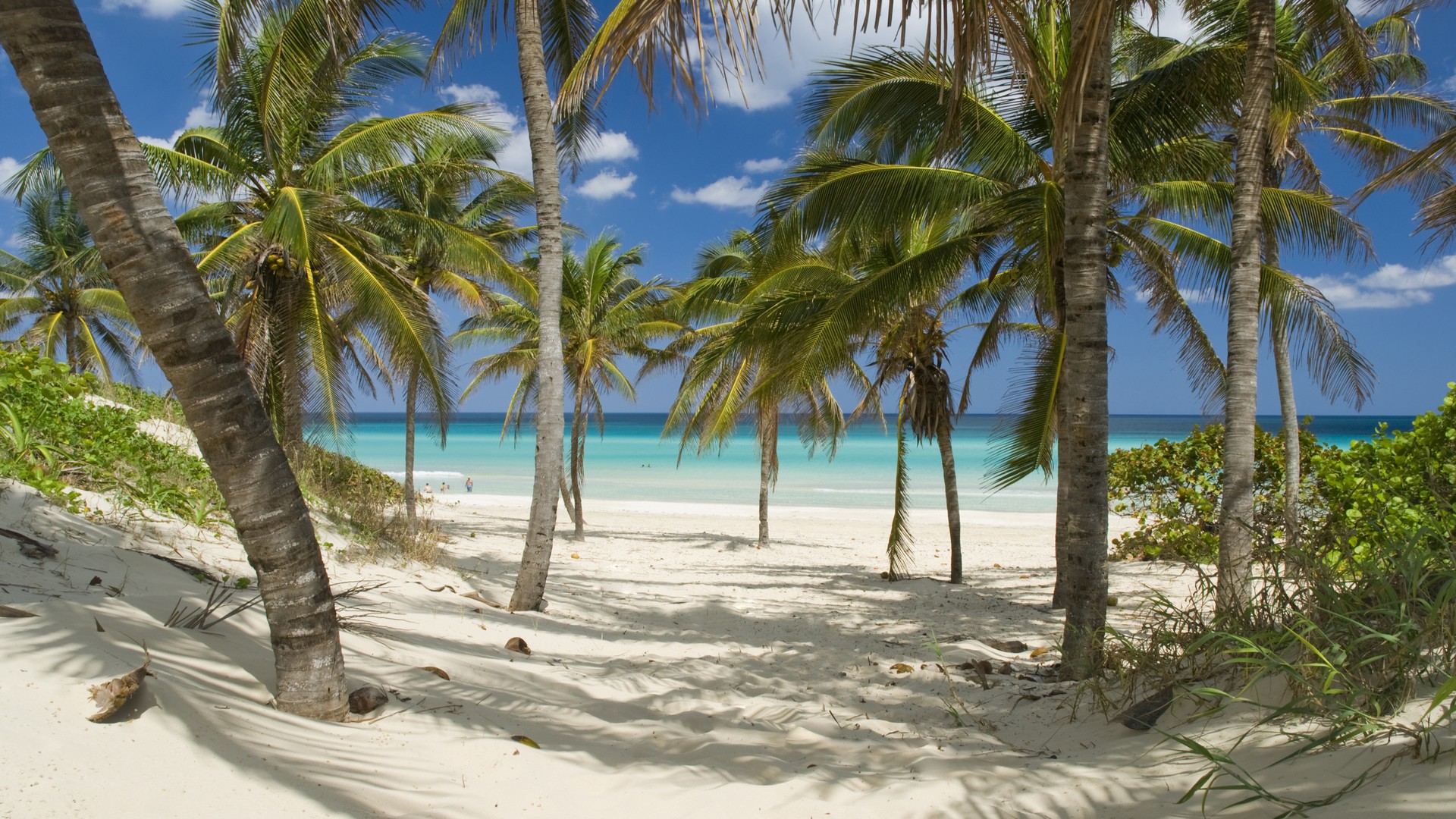 Прекрасный вид пляжа в Гуанабо.