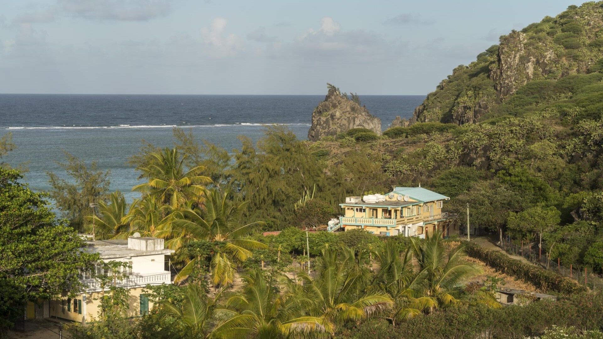 Побережье, покрытое пальмами и опунциями, остров Родригес, Маврикий.